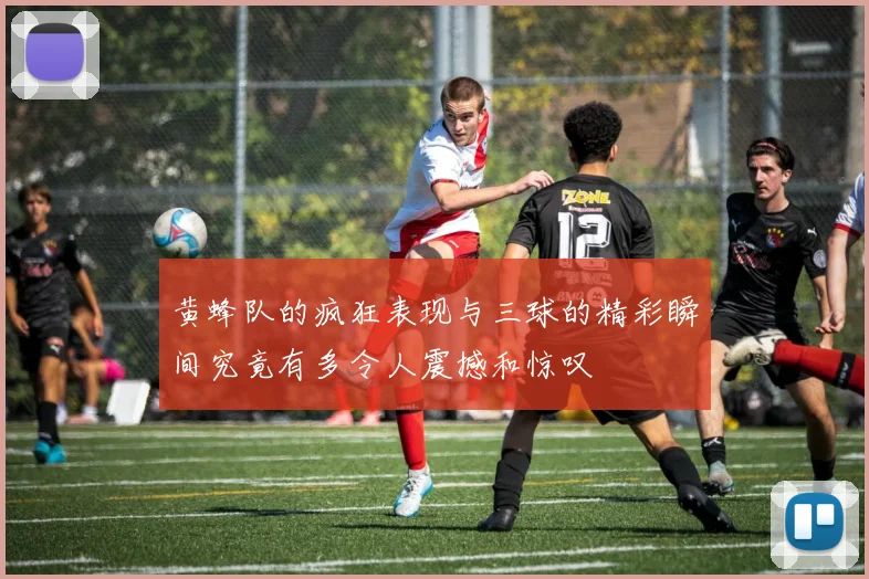 黄蜂队的疯狂表现与三球的精彩瞬间究竟有多令人震撼和惊叹