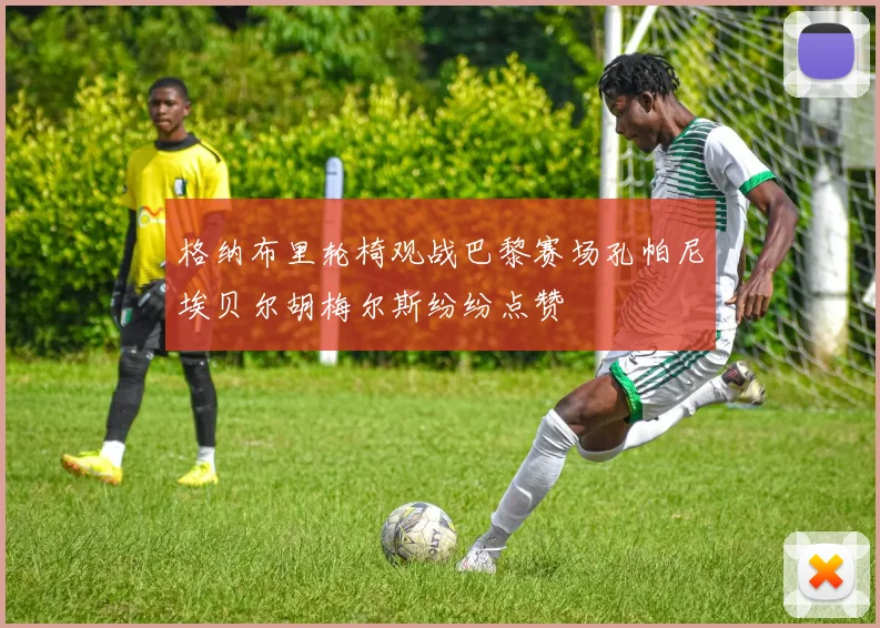 格纳布里轮椅观战巴黎赛场孔帕尼埃贝尔胡梅尔斯纷纷点赞